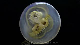 3 Khodam Sakti Mustika Bertuah  By Situs Pusaka