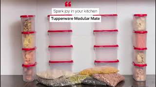 Tupperware MM Oval # 2