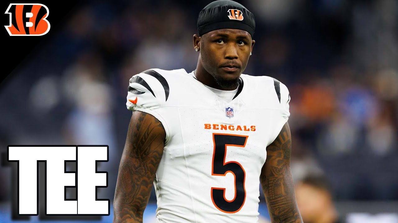 Tee Higgins Highlights | 2025 - 2026 NFL Season