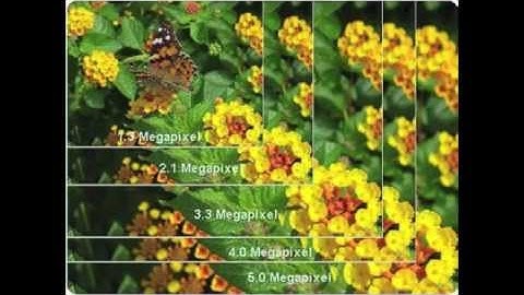 Chapter 6 Multimedia- Image Storage