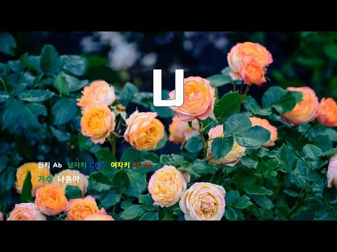 [은성 반주기] 니 - 나훈아