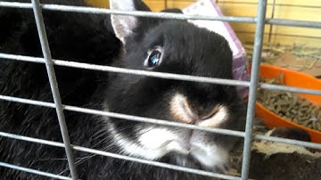 Motorola ATRIX 2 sample 1080p video