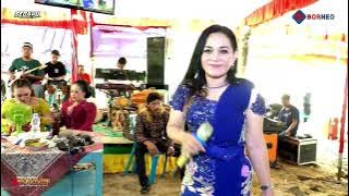 KEMBANG WANGI // Roha Adelia // Sedayu Musik // Live musik