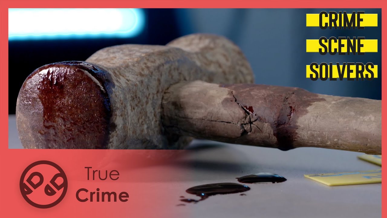 Film backdrop image for Ten years of investigation | The Willy Pomonti Case | Crime Scene Solvers 305 (2023)