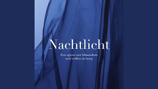 Het ongeluk