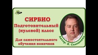 СИРБИО  Подготовительный класс 0 Автор   Владимир Солошенко