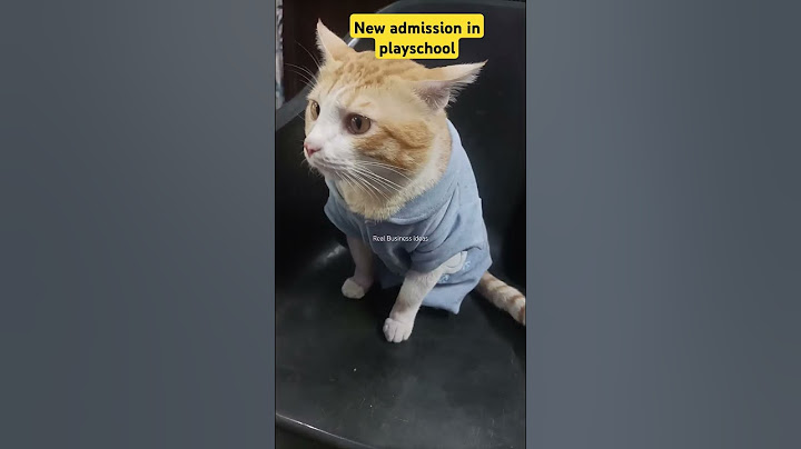 funny cat videos #cat #cats #funnyshorts #funnycats #shorts #viralshorts #realbusinessideas