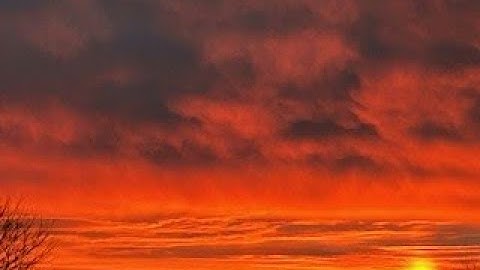 2025 Corcoran Chair Conference, Session 2, April 6, 2025