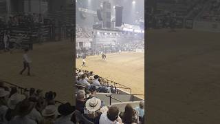 Inside the Chute: Bull Riding & Bronc Action at the 61st Dixie National Rodeo Video #3