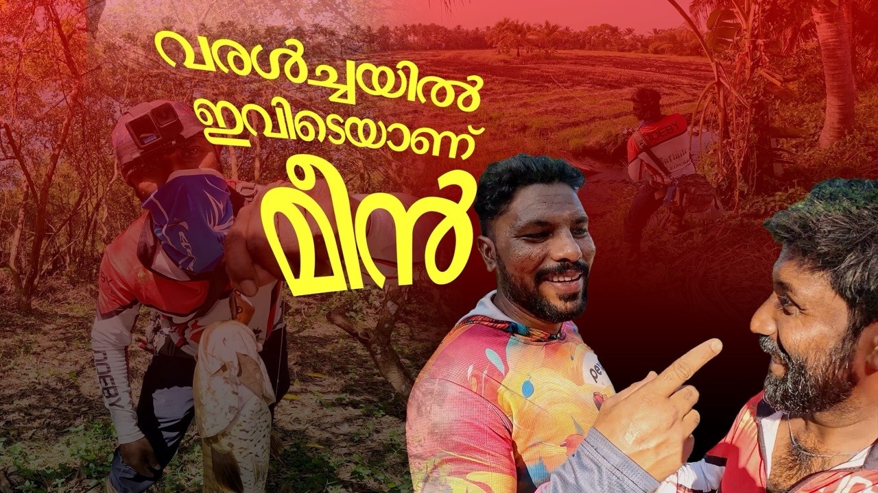 FISHING: 😳വരണ്ട കണ്ടങ്ങളിൽ എവിടെയായിരിക്കും മീൻ 🤔 ഒരു തകർപ്പൻ മീൻപിടുത്തം💪🎣 #fish #fishing