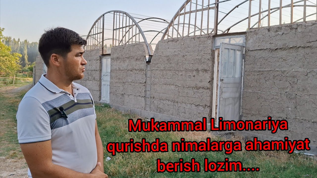 Mukammal Limonariya qurish uchun nimalarga ahamiyat berish lozim mutaxassis maslahatlari..