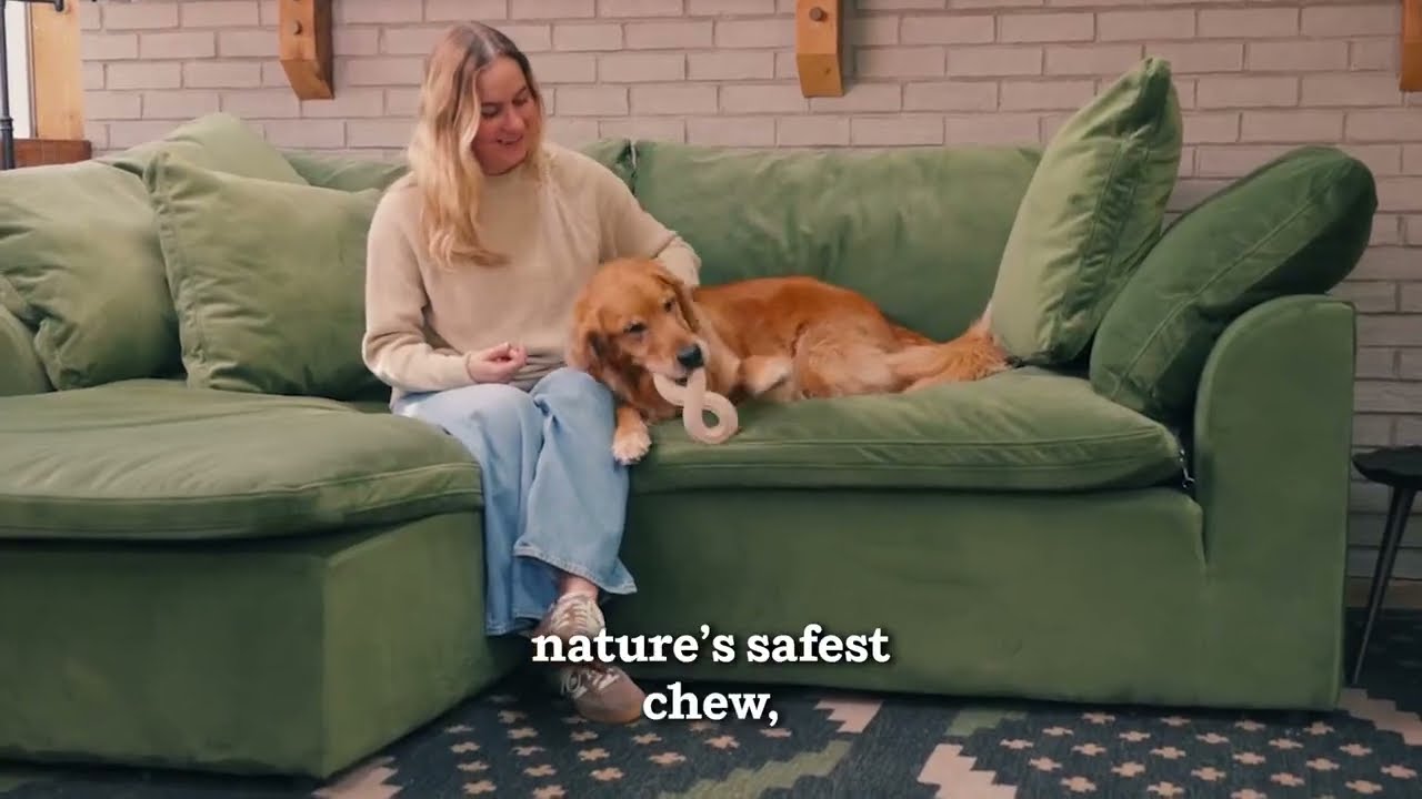 Preview of Woof HonestChew Video