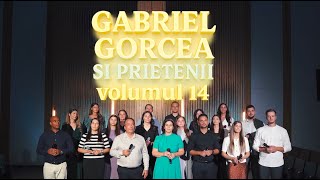 Colaj - Gabriel Gorcea si Prietenii vol 14 (Live Session 2025)