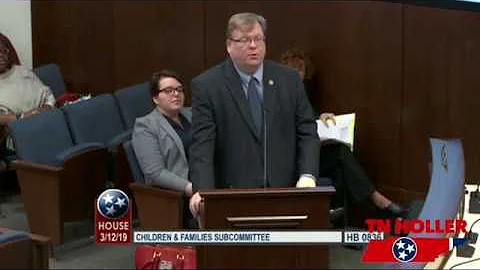 "BAD FOR KIDS" Anti-LGBT Adoption Bill Passes Committee | TN Holler