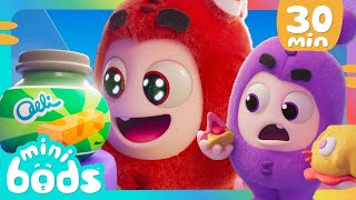 🥐 Fuse Can&#39;t Open the Snack Jar! 🥐 | Minibods | Cute Kids Cartoon | Baby Oddbods