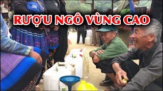 Hải Bảo Thắng