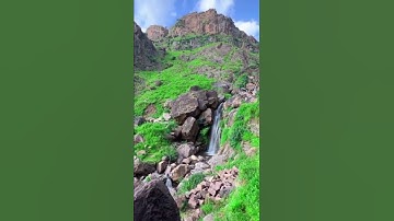 تلاوة بالمقام اليمني الصنعاني . القارئ محمد الفقيه