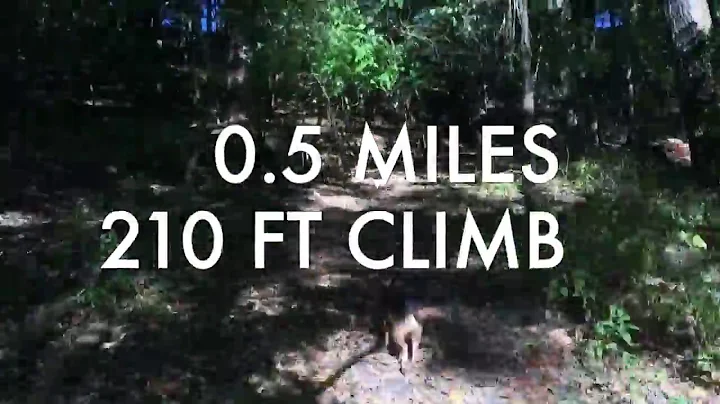 Enjoy Troys Hidden Trails + Urban Landscape via th...