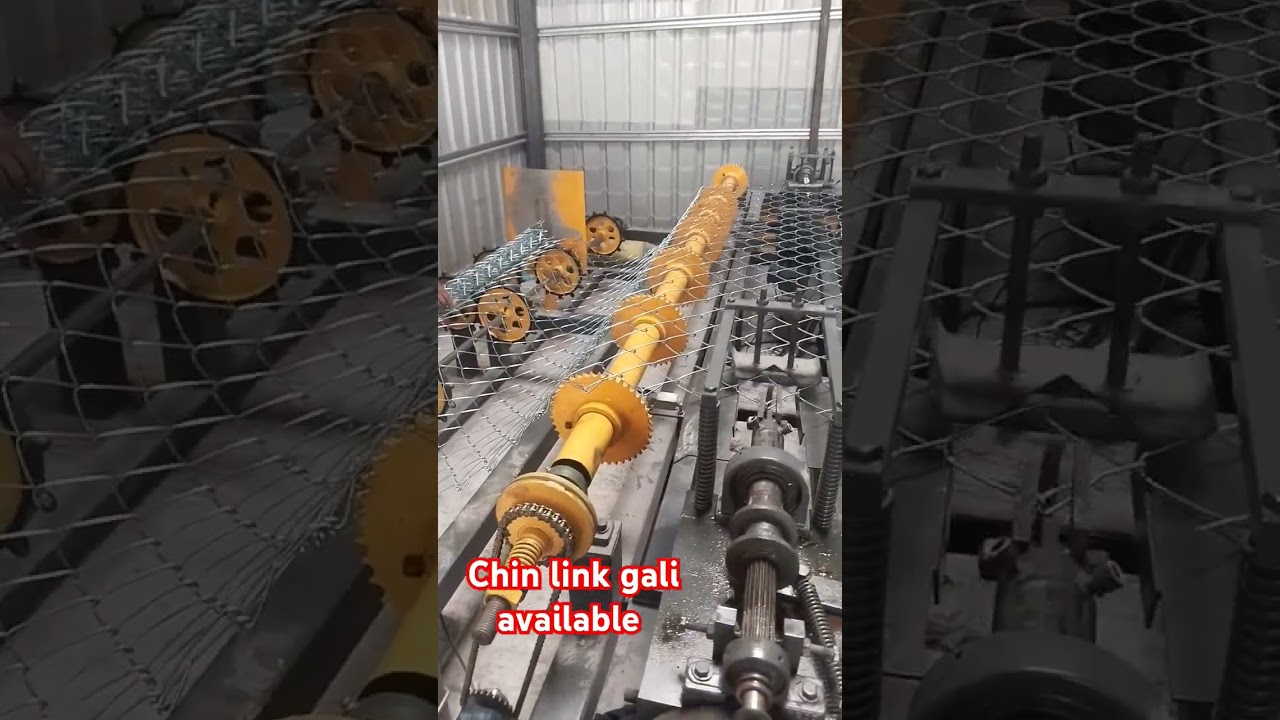 In chain link gali *