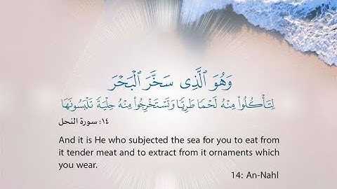 سورة النحل كاملة بدون اعلانات مكتوبة بيشوا قادر الكردي💙 quran karim surah An_Nahl