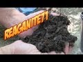 Grass to Garden Soil in 14 Days!  Drunken Composting Using Beer, Cola, & Ammonia!