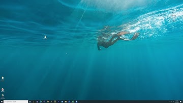 QuPath Primer: Export and Analysis