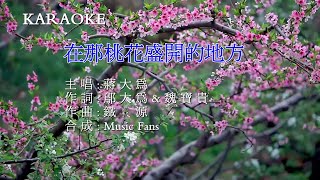蒋大为   在那桃花盛开的地方高品质音轨  1080P