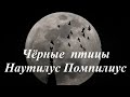 Наутилус Помпилиус – Черные птицы