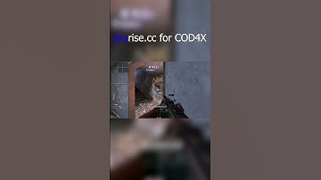 Skyrise COD4X Aimbot  #cheater #gaming #cheating #roblox #zombie #hacks #cod4 #callofduty #games