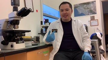 Ties Anatomy Intern Intro Spring 2021