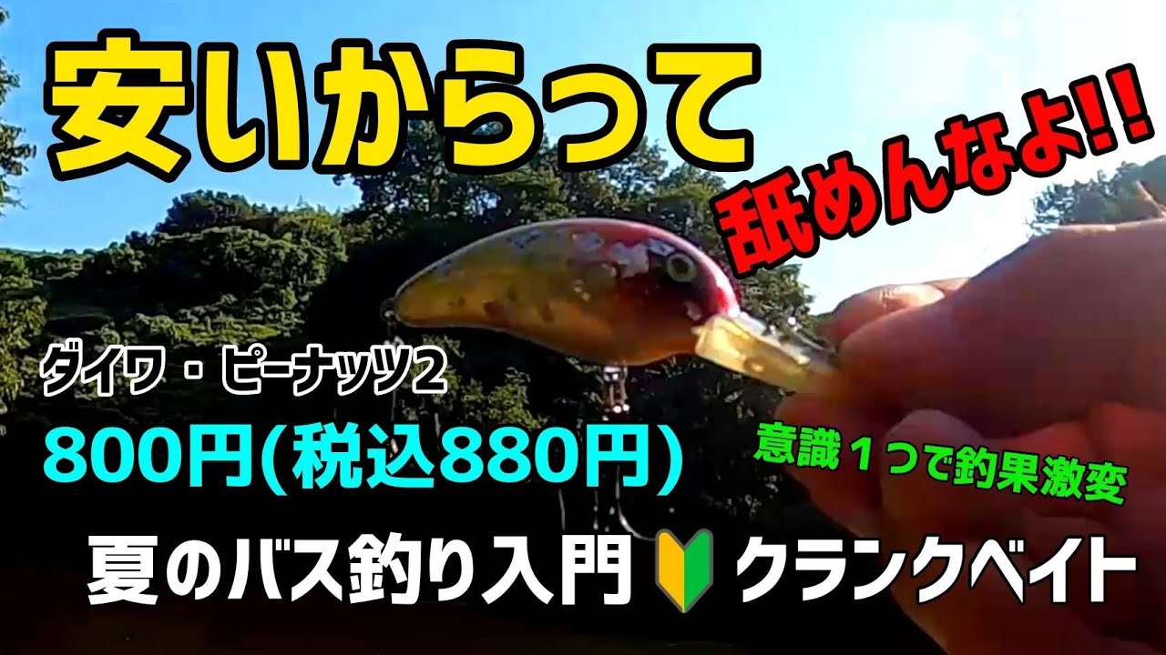 【バス釣り】難しい事は言わない、速く巻け‼️リクエストの安くて釣れるルアー紹介と使い方(夏編) 今回は名作ダイワ・ピーナツ2🎵バス釣り入門  #バス釣り #バスフィッシング #バス釣り初心者 #夏休み