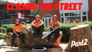 Large London Plane Removal (Part 2/2)