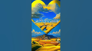 يا أيها الدين أمنوا اذا نودي للصلاه من يوم الجمعة #المصحف #اكسبلور #اجمل_تلاوة_مهدئة_للاعصاب