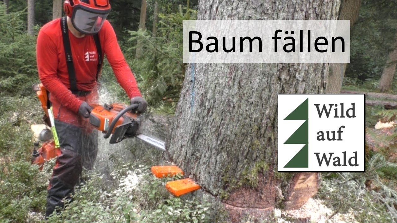 Tragesystem Für Mechanischen Fällkeil & Schlagschrauber Stihl Kombikanister 127930401 Tragesystem Für Mechanischen Fällkeil & Schlagschrauber Stihl Kombikanister 127930401
