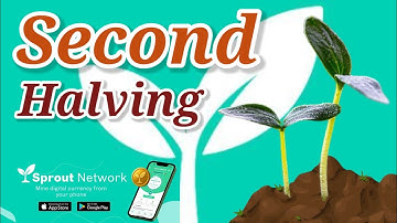 How to INCREASE TOTAL MINING RATE? 🌱 Sprout Network Mobile Mining App