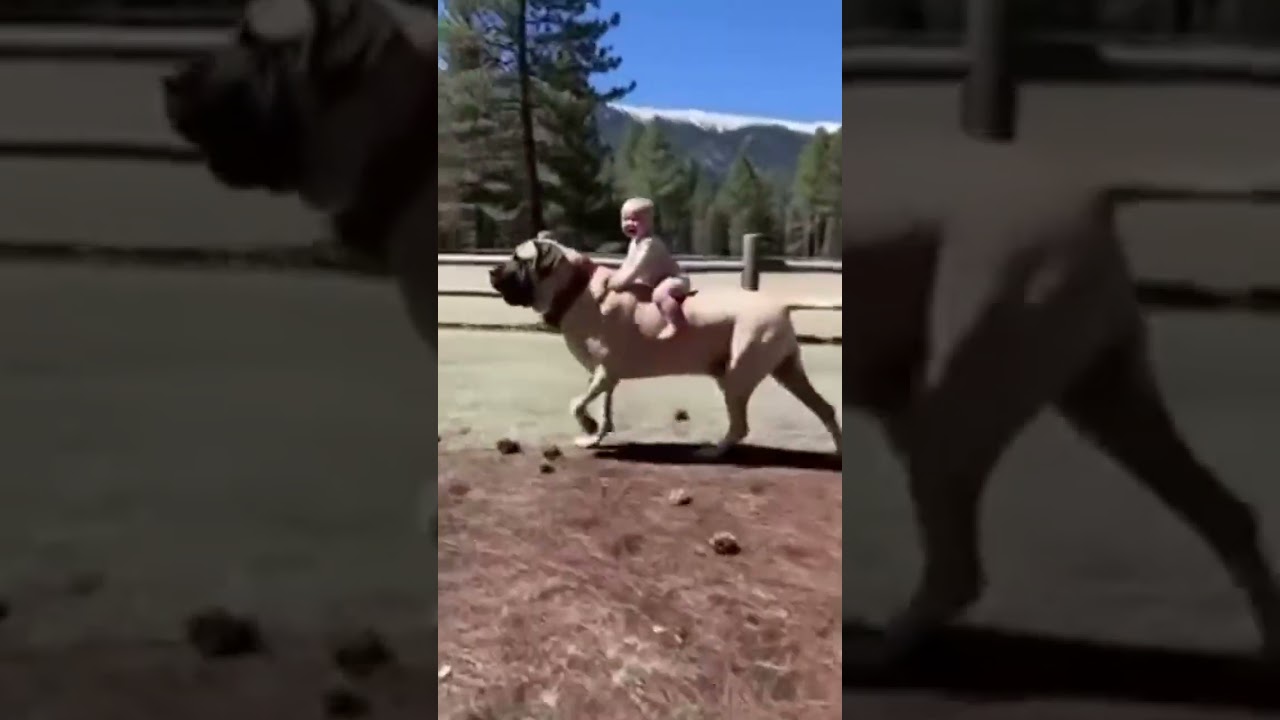 Epic Adventure Vlog: Jenna & Max Explore Hidden Gems in Bali 