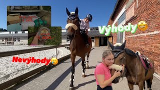 Vlastní kůň - co to obnáší, výhody a nevýhody // vlog #10