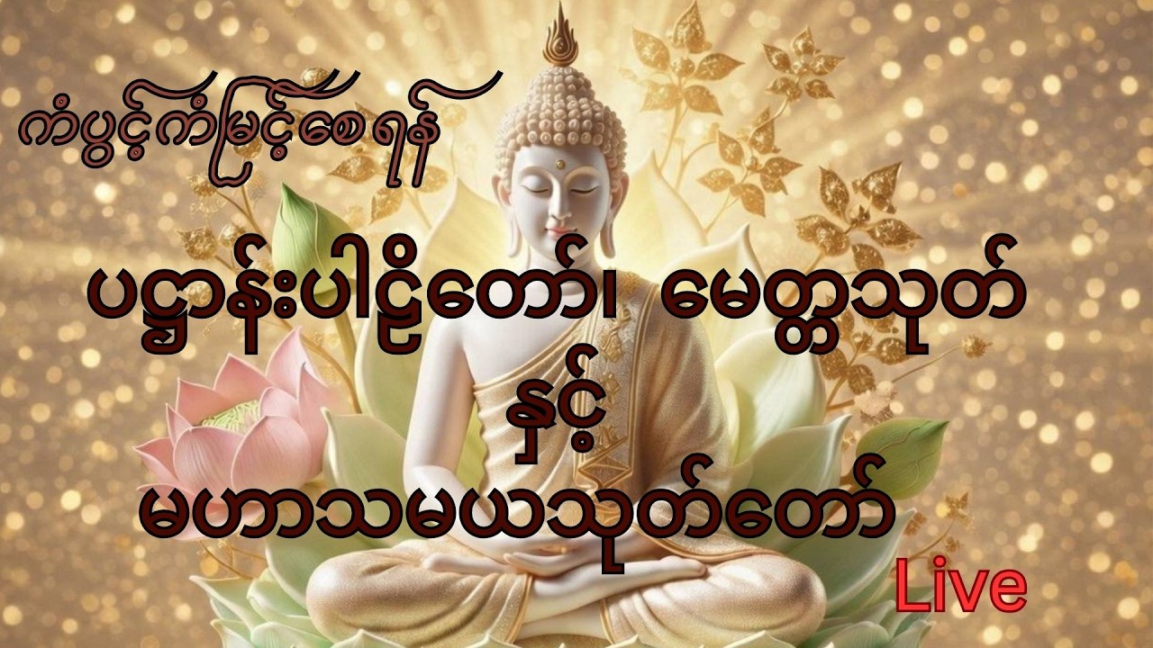 ပဋ္ဌာန်းပါဠိတော်၊ မေတ္တသုတ် နှင့် မဟာသမယသုတ်တော်
