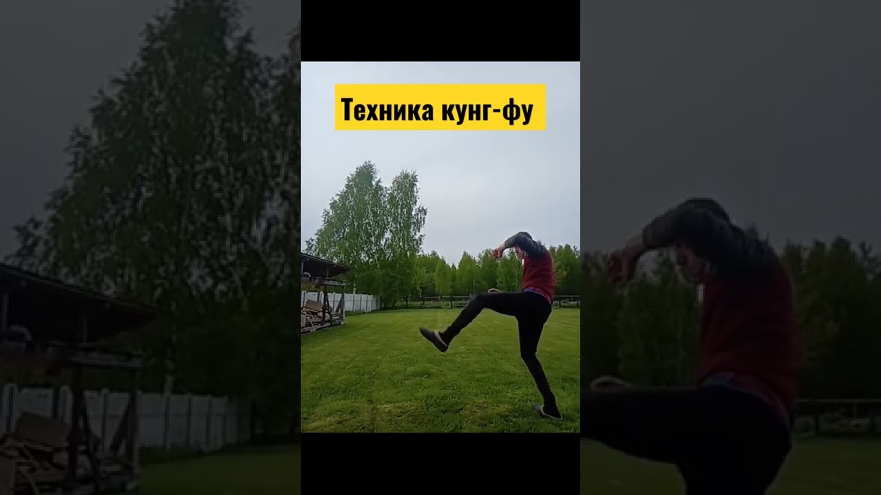 техника кунг-фу