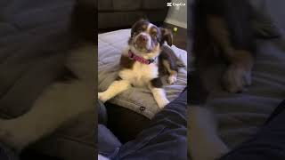 It’s so sad tho, like seeing all my old memories and I can’t delete themmm #storage #sad #memories