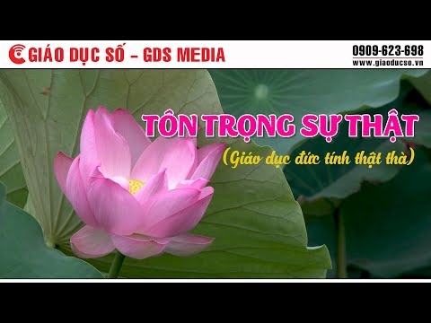 Video Tình huống thực tế - Tôn trọng sự thật - youtube