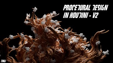 PROCEDURAL DESIGN IN HOUDINI - V2 - TIMJ