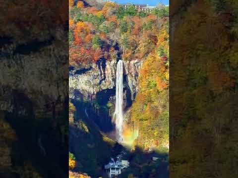 【日光・絶景】紅葉×滝×虹 日本の美しい紅葉 #nikko #japan #日光 #紅葉 #絶景 #kouyou