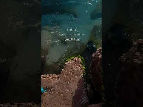 لعلك من صخور العسر تقطف زهرة اليسر 