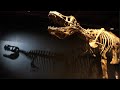 Australian Museum Tyrannosaurus Meet The Family NSW 