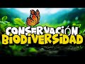 Conservación de la biodiversidad : Las áreas naturales protegidas