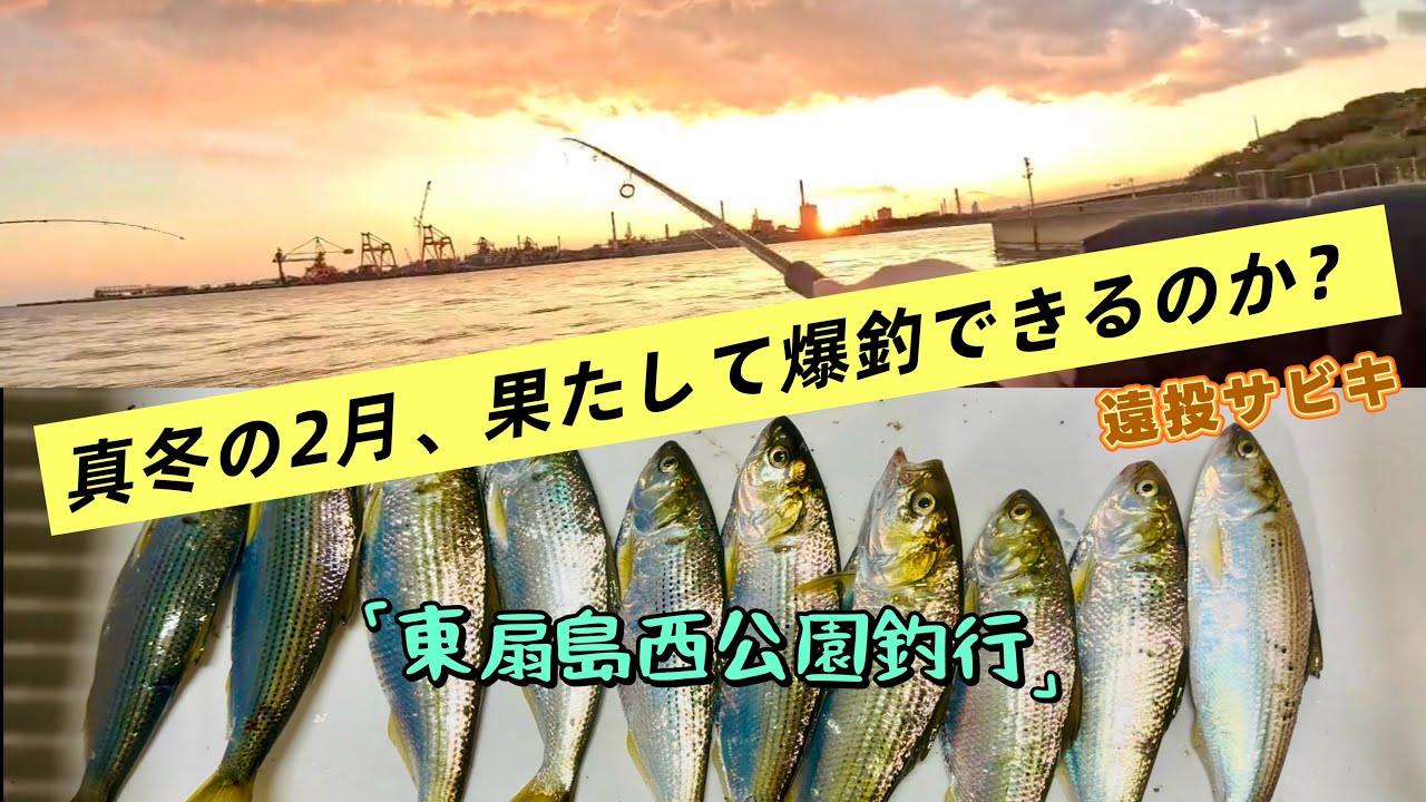 【東扇島西公園釣り】激渋の2月末、沖合80mの遠投サビキなら魚は居る！？アジ狙いの遠投サビキでコノシロ祭り開催！