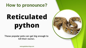 How to pronounce Reticulated python in English Correctly