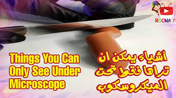 Things You Can Only See Under Microscope - أشياء يمكن ان تراها فقط تحت الميكروسكوب