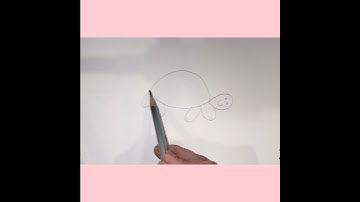 How to draw tortoise/Tortoise kaise draw kare #tortoise